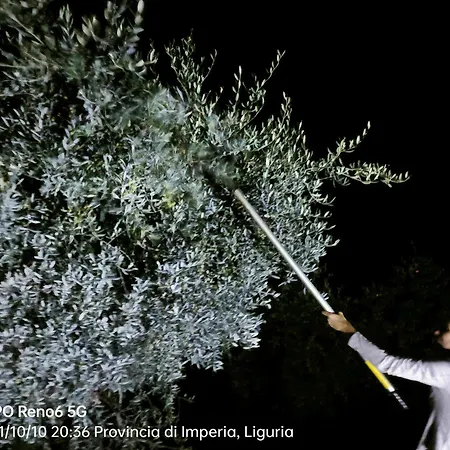 Monaci Templari مزرعة للإقامة *