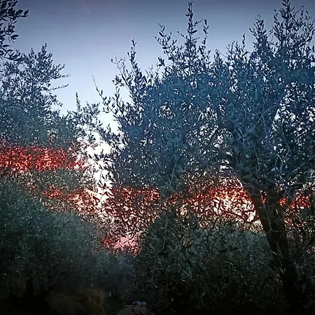 Monaci Templari مزرعة للإقامة