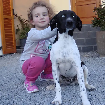 مزرعة للإقامة Monaci Templari سيبورجا