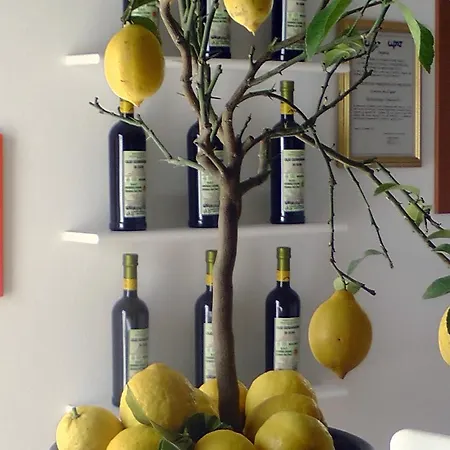 Agriturismo Monaci Templari