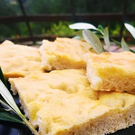 Monaci Templari سيبورجا