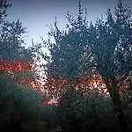 Monaci Templari Κατάλυμα σε φάρμα