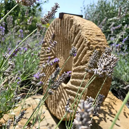 ファームステイ Monaci Templari *