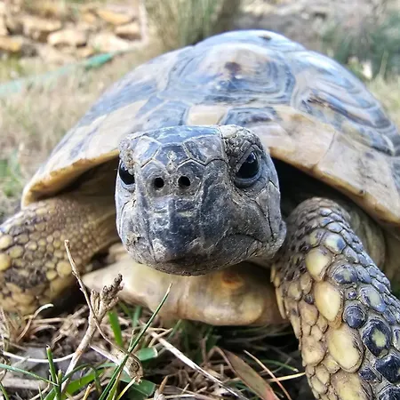Séjour à la ferme Monaci Templari *