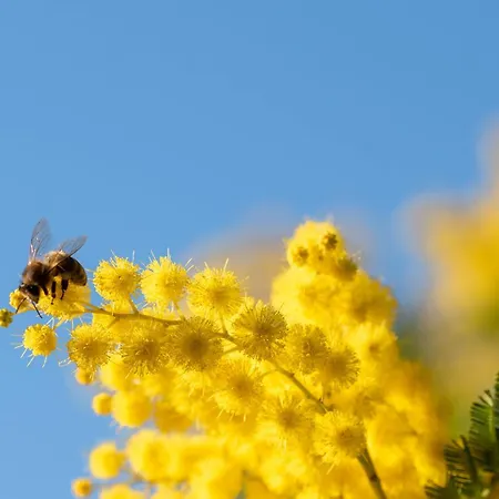 Séjour à la ferme Monaci Templari