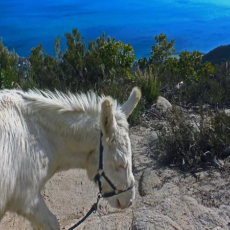 Monaci Templari * Seborga