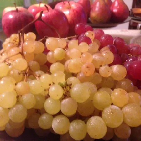 Monaci Templari * セボルガ