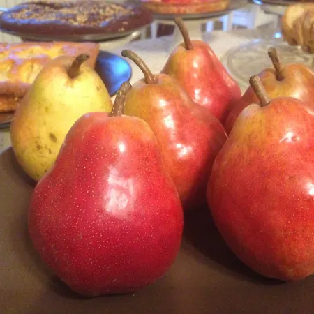 Monaci Templari ファームステイ *