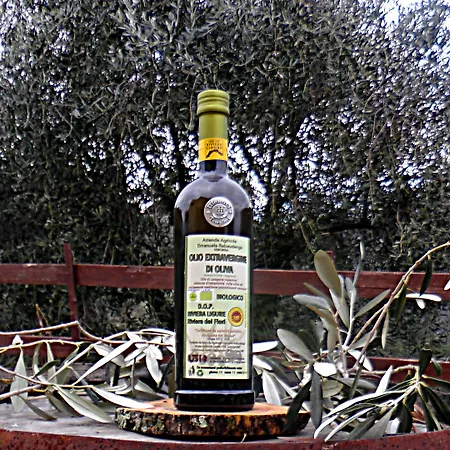 Monaci Templari セボルガ