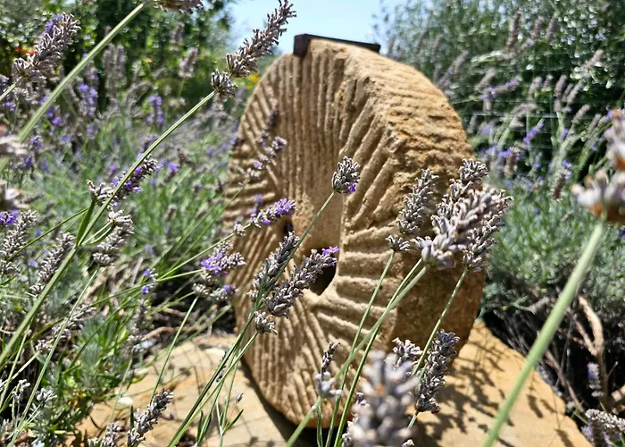 בית חווה Monaci Templari *