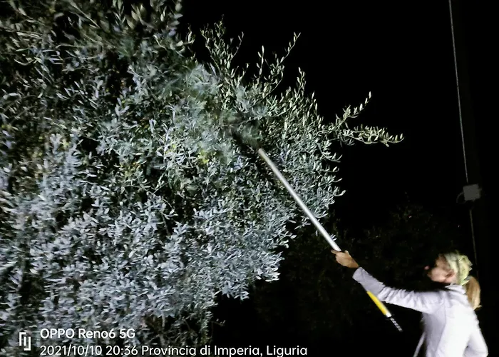 Monaci Templari Κατάλυμα σε φάρμα *
