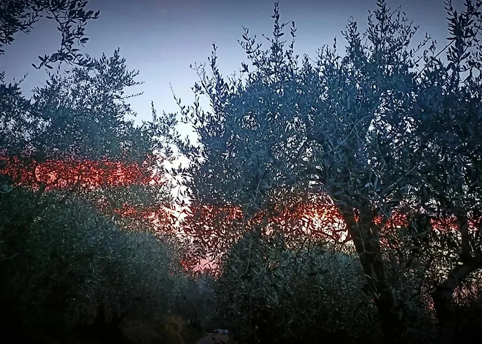 Monaci Templari Κατάλυμα σε φάρμα