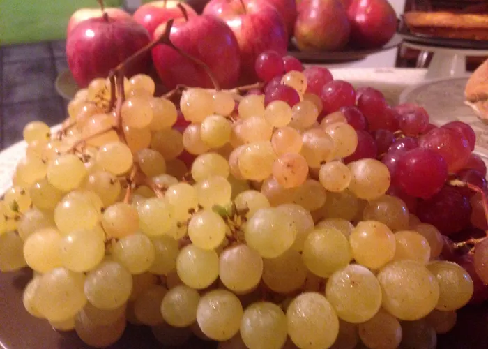 Monaci Templari * סבורגה